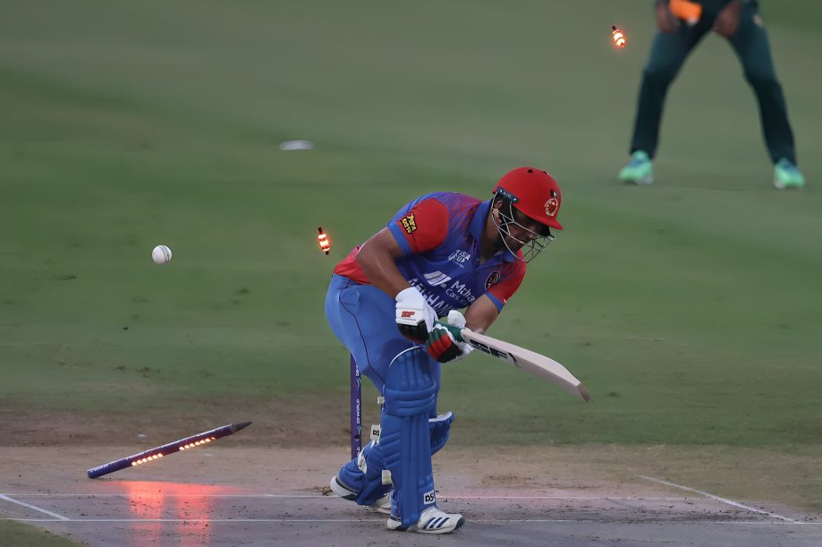 Most Ducks in T20s in 2025